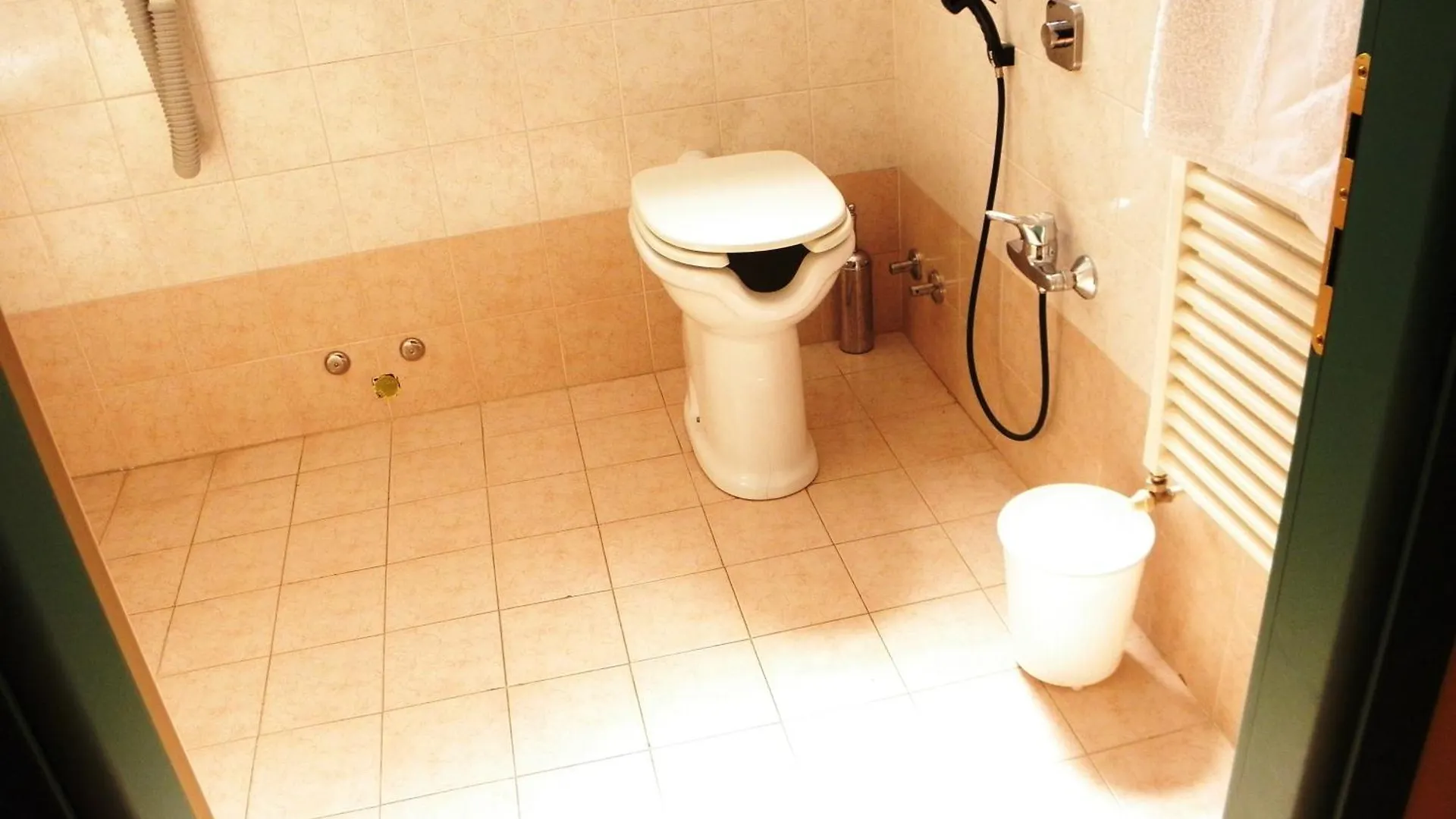 Albergo Ristorante Bigiu Sant'Omobono Terme Hotel
